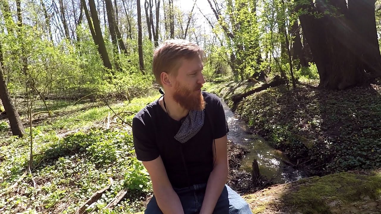 Wiosna w koronie - Dziki Zew