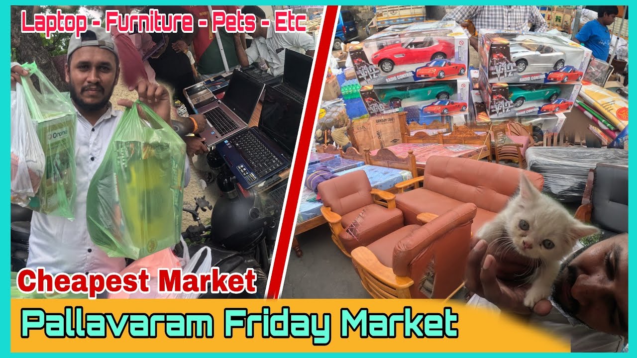 Pallavaram Friday Market | Pallavaram Sandhai | Chennai Pets Market | Mct Suhail | Vlog 