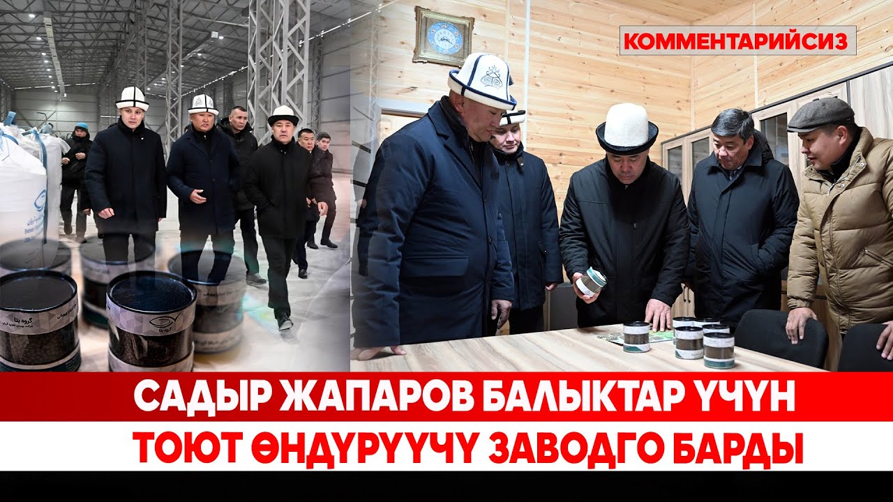 Садыр Жапаров балыктар үчүн тоют өндүрүүчү заводго барды/ (Комментарийсиз)