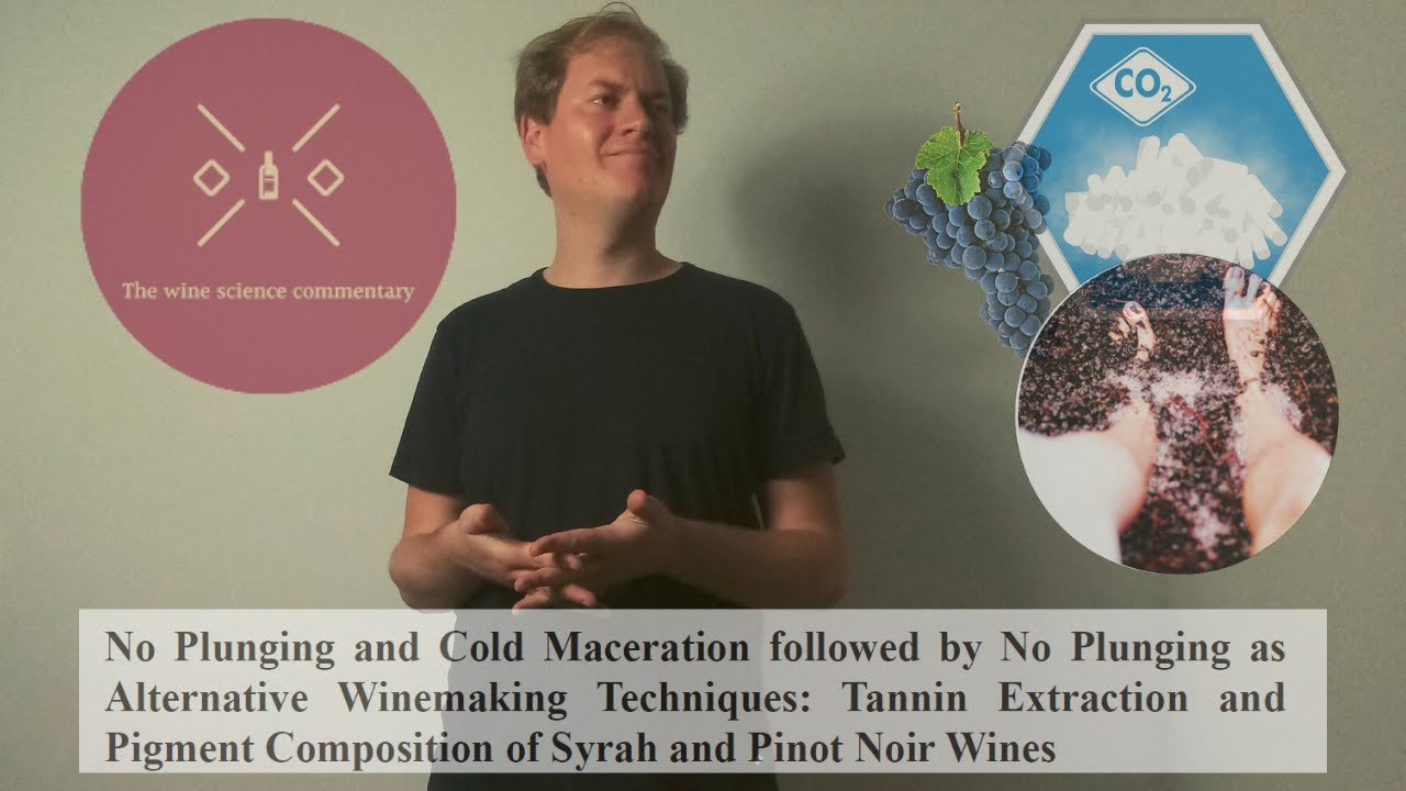 The effect of minimal cap management techniques (+cold soak) on phenolic extraction (Syrah+P. Noir)