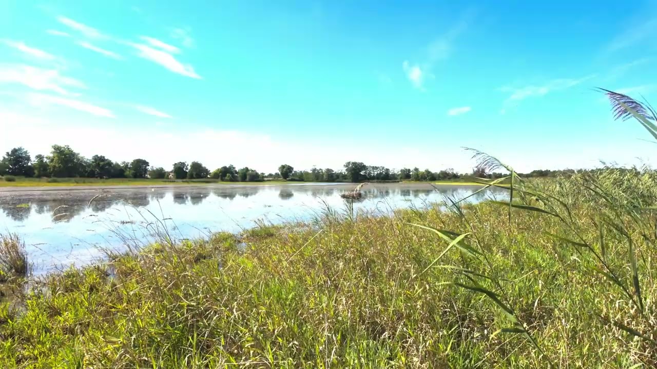 [NO ADS] 4K Relaxing Nature – 1 Hour Small Lake Afternoon Ambience (French Countryside)