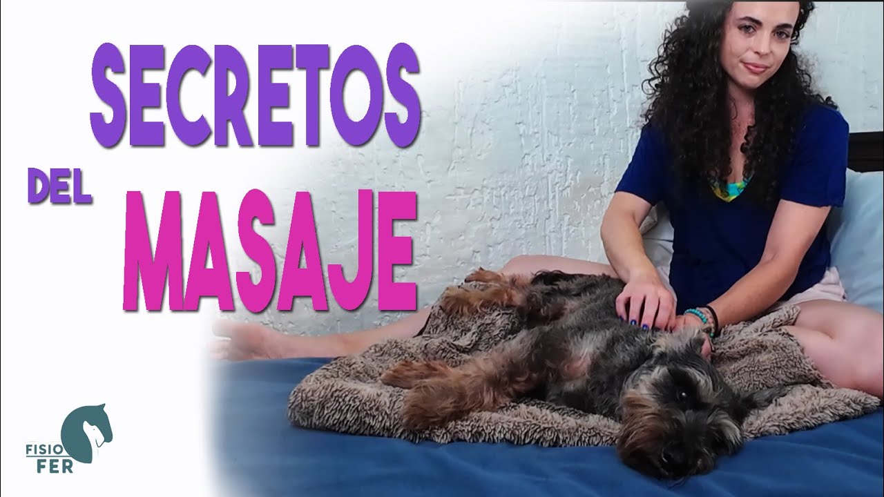 Te voy a enseñar algunos secretos del masaje perfecto para tu perrito