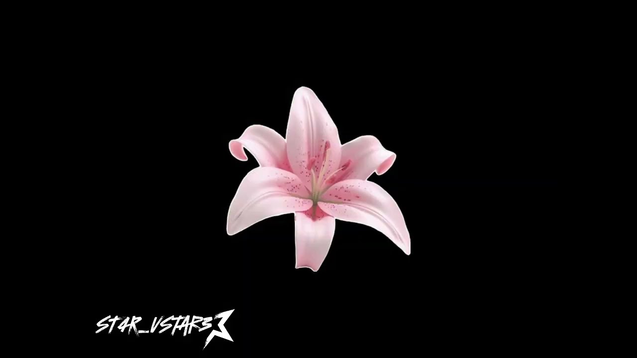 Edit Audio Playlist For You To Listen When Doing  Something!!! (30 min) @ST4R_VStar3 ✨💐 #1