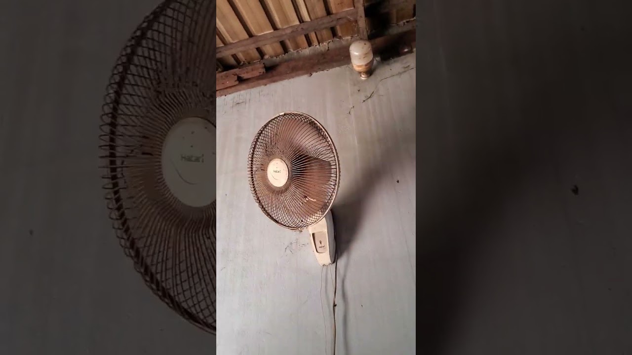 19 Inch Hatari wall Fan