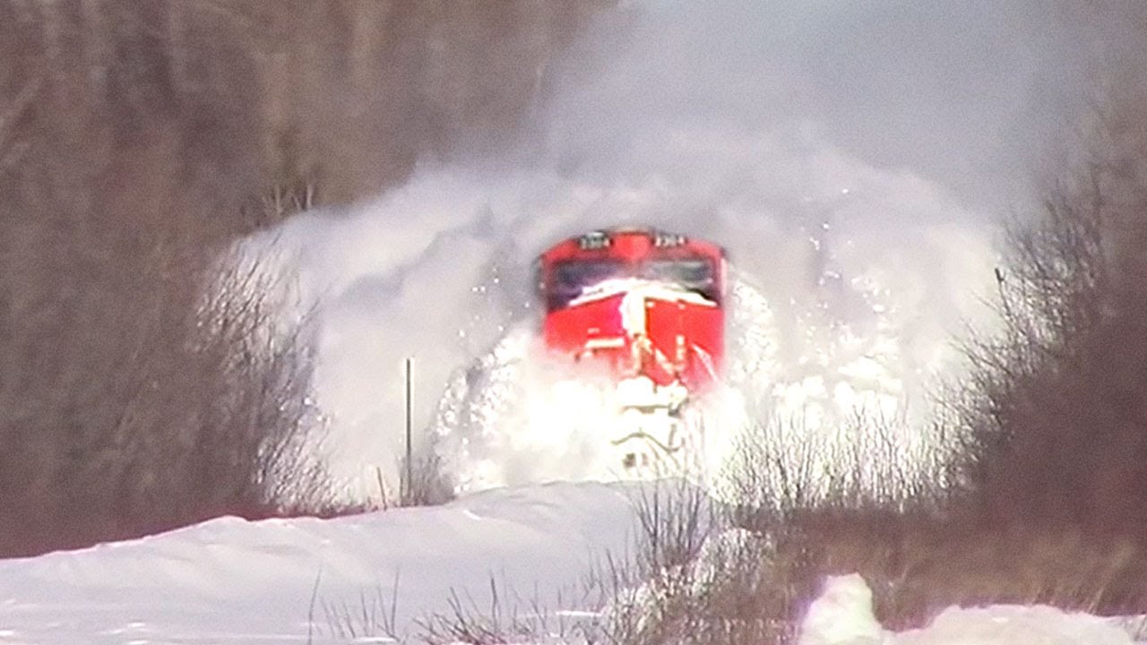 10 моментов, в которые вы бы не поверили, если бы не были сняты на видео