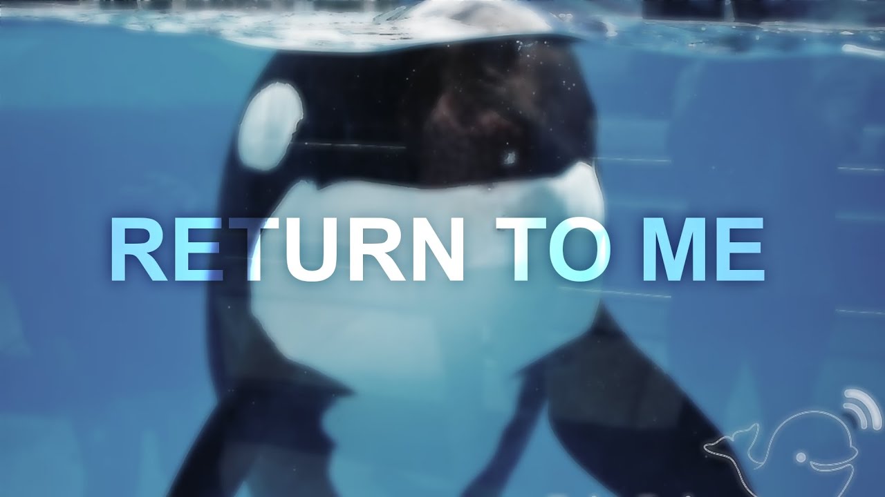 𝒓𝒆𝒕𝒖𝒓𝒏 𝒕𝒐 𝒎𝒆