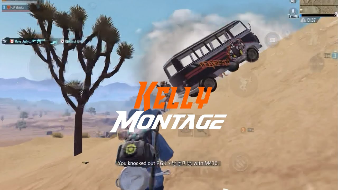 말이 안되는 미친 피지컬 ‘켈리’ | 모배 매드무비