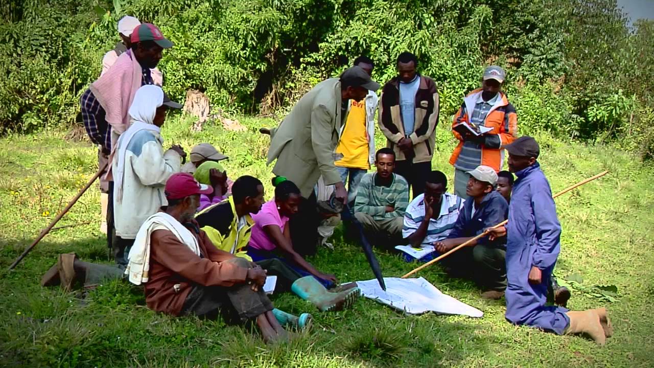 Participatory Forest Management in Ethiopia