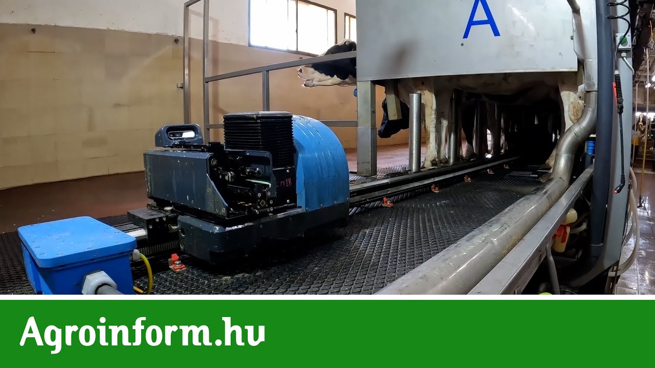 Új dimenzió a fejőházi robotfejésben - Afimilk Synergy