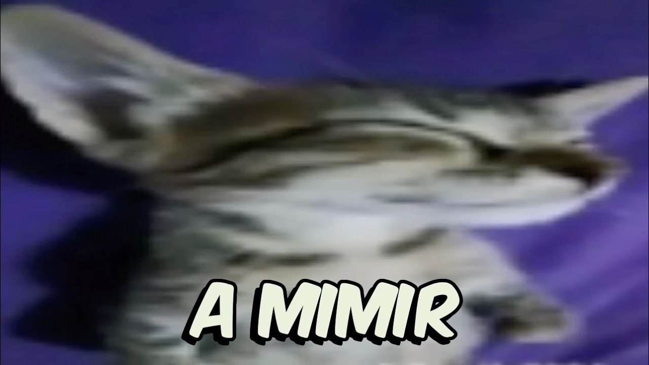 Shitposting Compilation V75