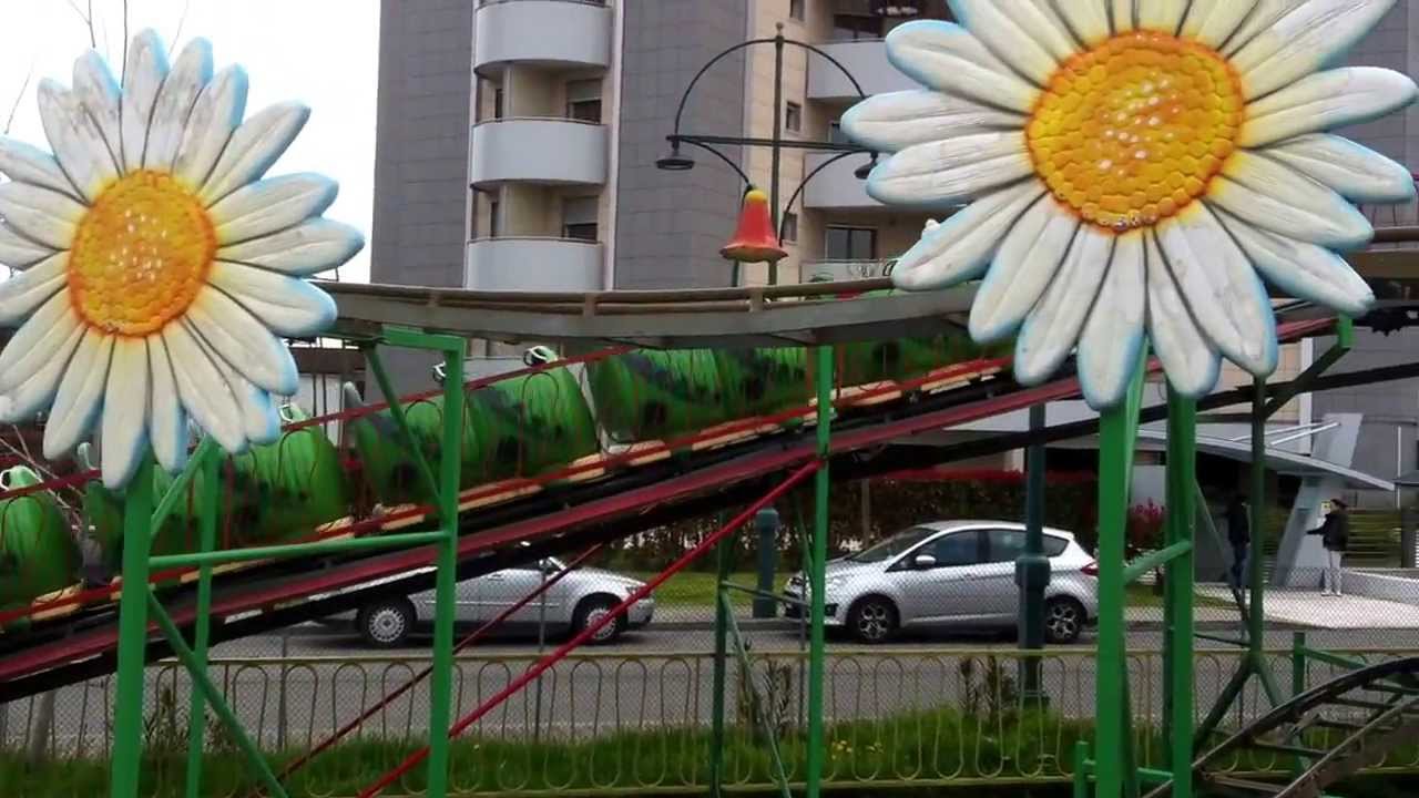 Brucomela (Mestre 2013) - Angelica