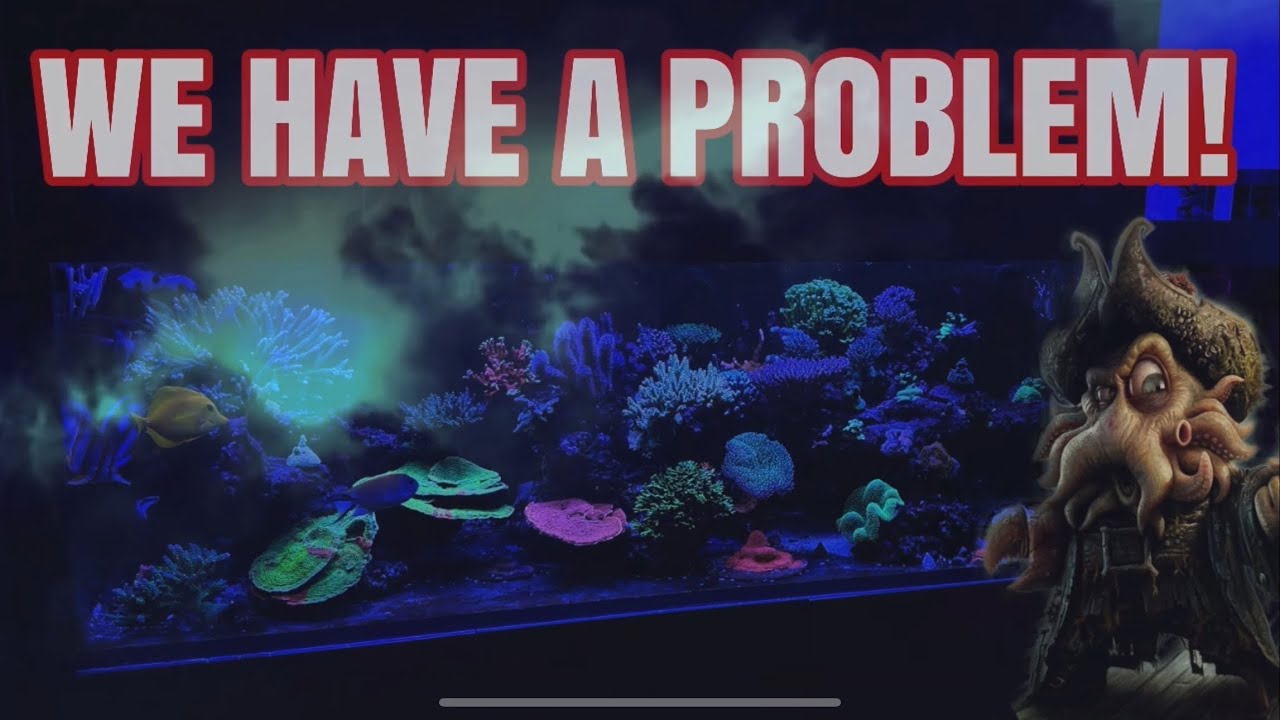 180 Gallon Reef Aquarium - Tank Crashing