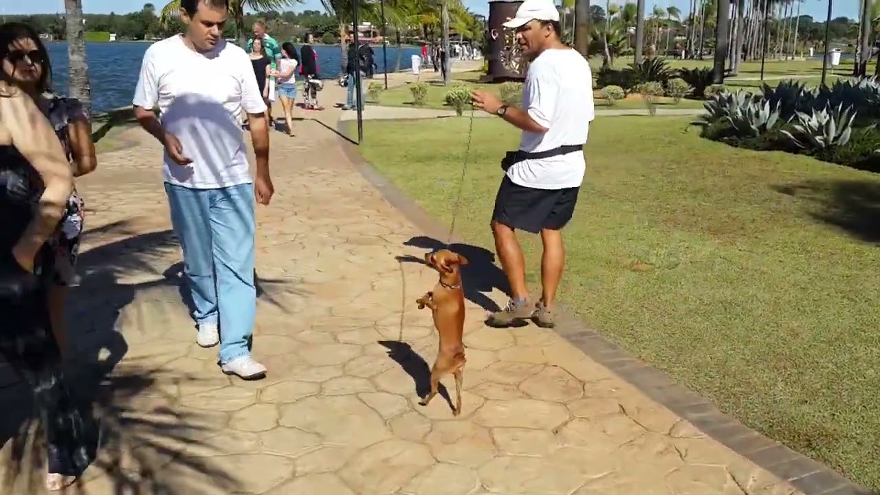 Caminata por Brasilia mundial de futbol de 2014. Lago Sul. Ponton del lago del Sur