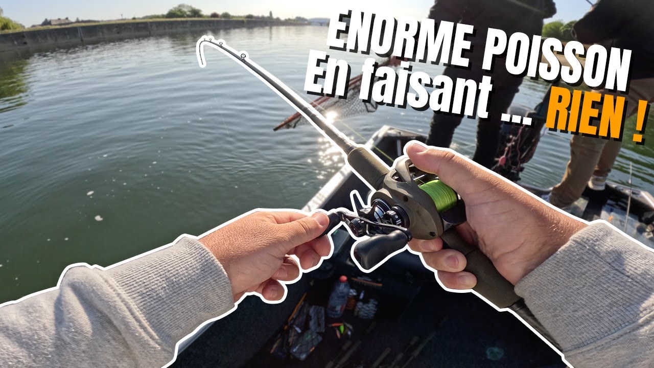 OUVERTURE p&ecirc;che BELGE de FOLIE, NOUVEAU RECORD PERCHE(50cm) en faisant ... RIEN !