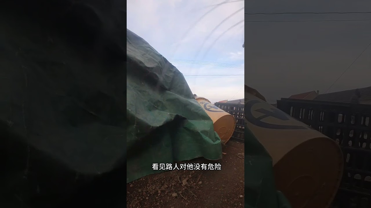 今天早上小黄陪黄爸去给生母咪咪送饭，一转头黄爸丢了，给孩子急的碰见小鱼干都顾不上吃了【小黄不太黄】