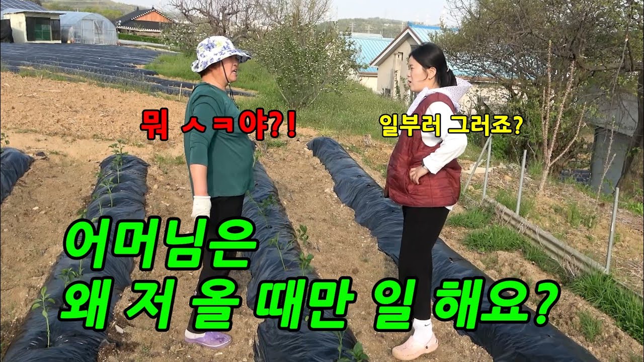 시골로 시집와서 올때마다 밭일을 한다면?