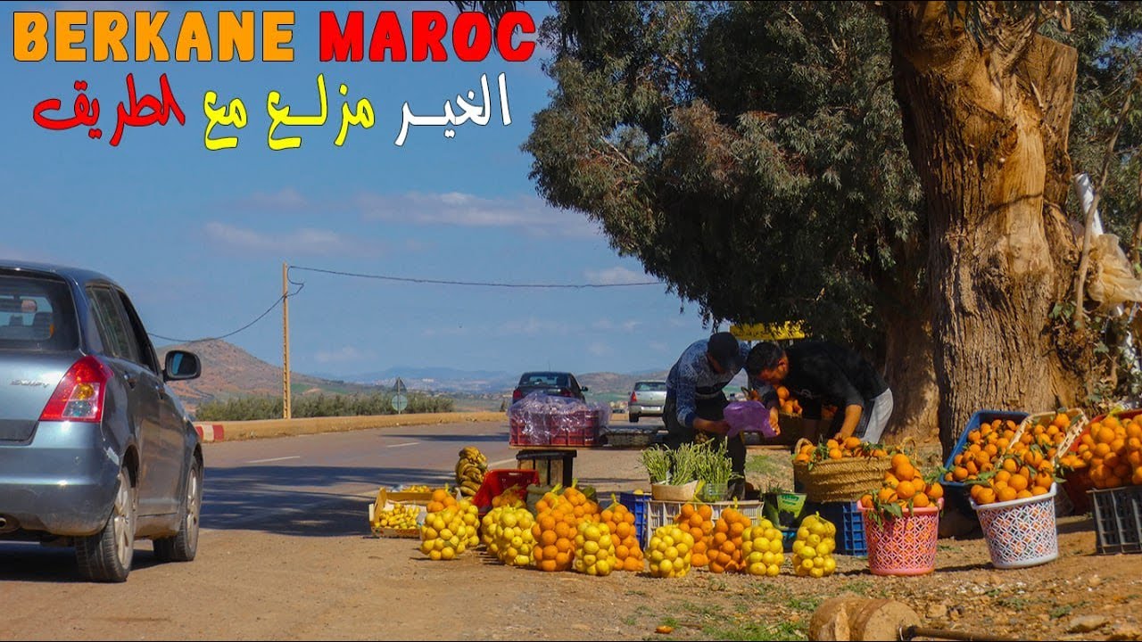 خيرات البلاد ب بركان المغربية الفواكه 2 دراهم مزلعة مع الطريق  LES FRUITS À BERKANE 2 DEUX DIRHAMS
