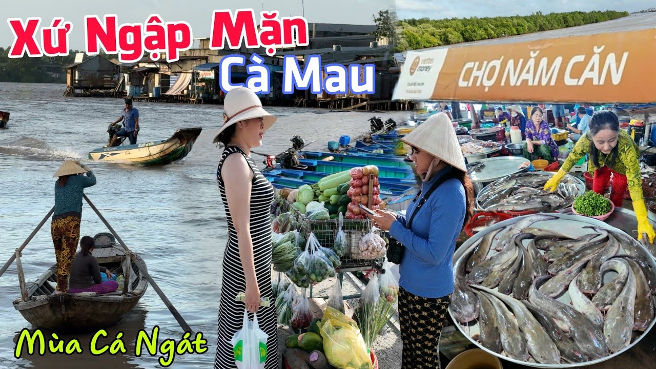 Đẹp lạ: CHỢ NĂM CĂN Cà Mau - Xứ Rừng Ngập Mặn Vào Mùa Cá Ngát