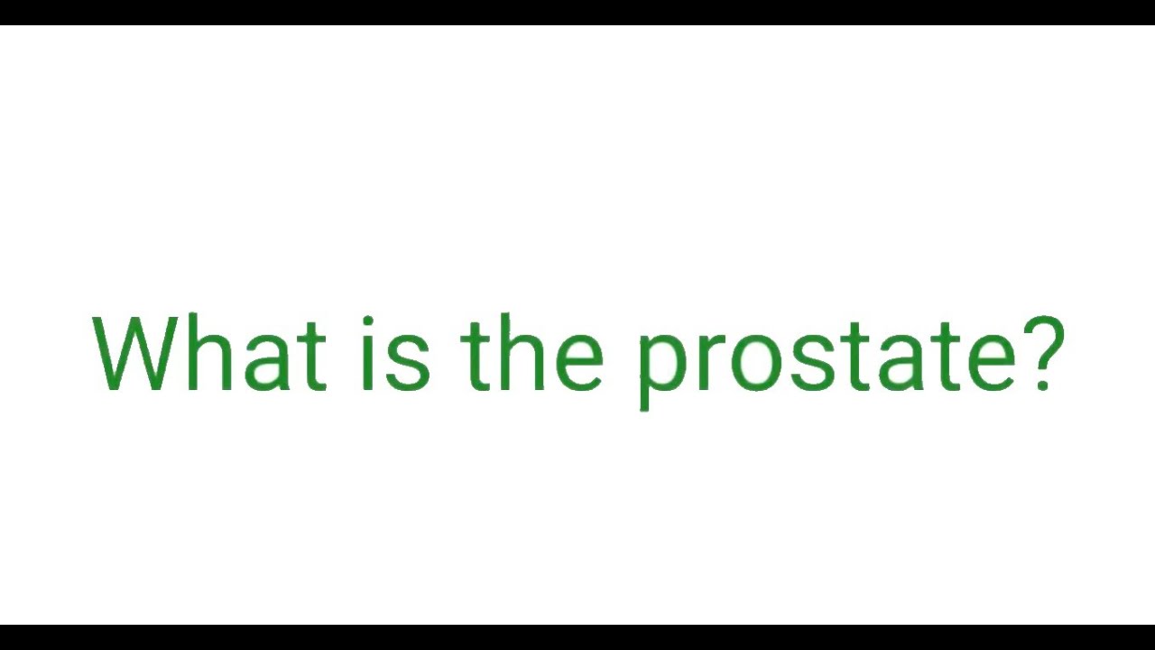 What is the prostate?