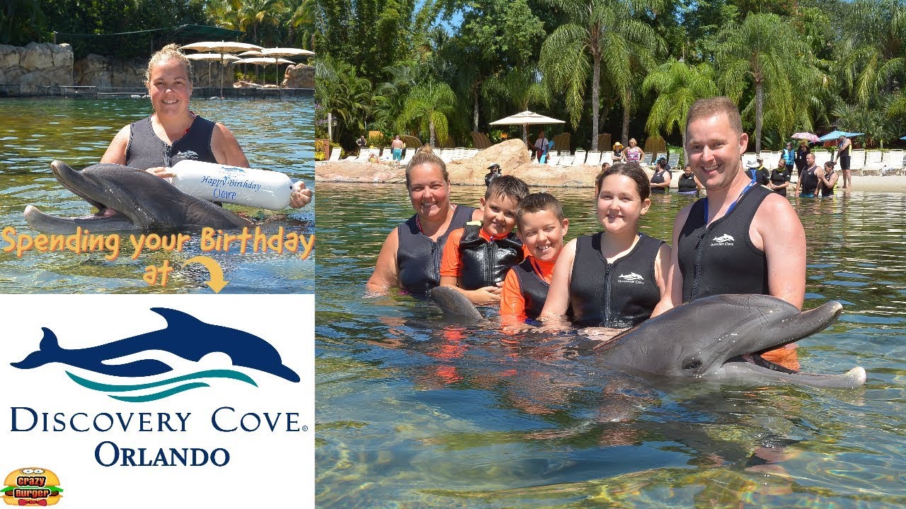 Discovery Cove Orlando | Happy Birthday Celebrations with Dolphin Swim plus Private Cabana!
