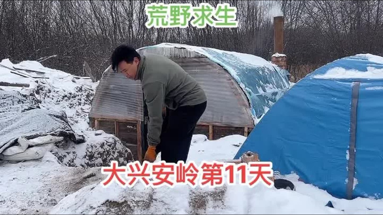 荒野求生，大兴安岭搭建庇护所第十天#荒野求生 #一人一狗 #大兴安岭#住进风景里#旅行vlog