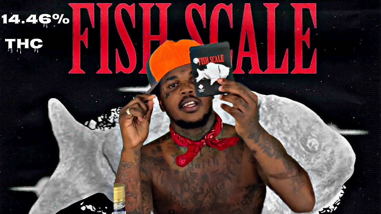 FISH SCALE by COOKIES 🐟 🐠 14.46% THC exotic weed strain review