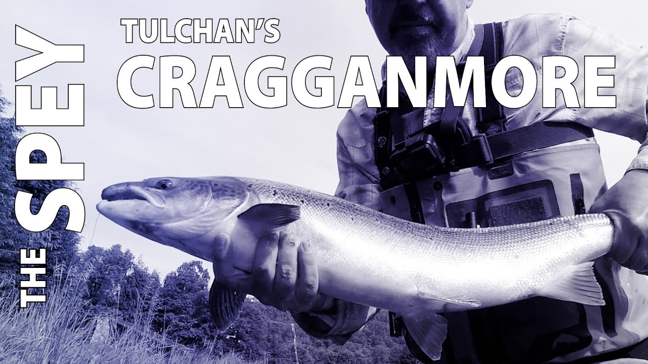 Salmon Fishing at Tulchan D Cragganmore - River Spey in Scotland