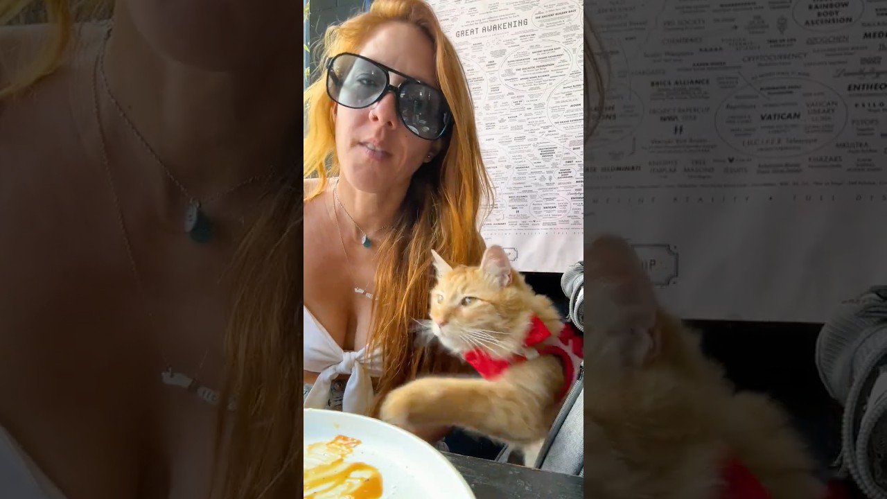 NOWE filmy o zwierzętach, kt&oacute;re Cię rozśmieszą!