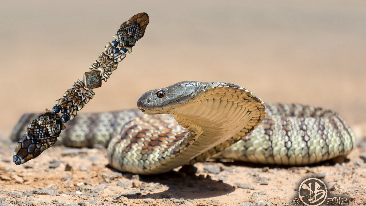 ⚡⚡⚡ Перекидные четки - КОБРА   от Димона   🙂... 🔥🔥🔥