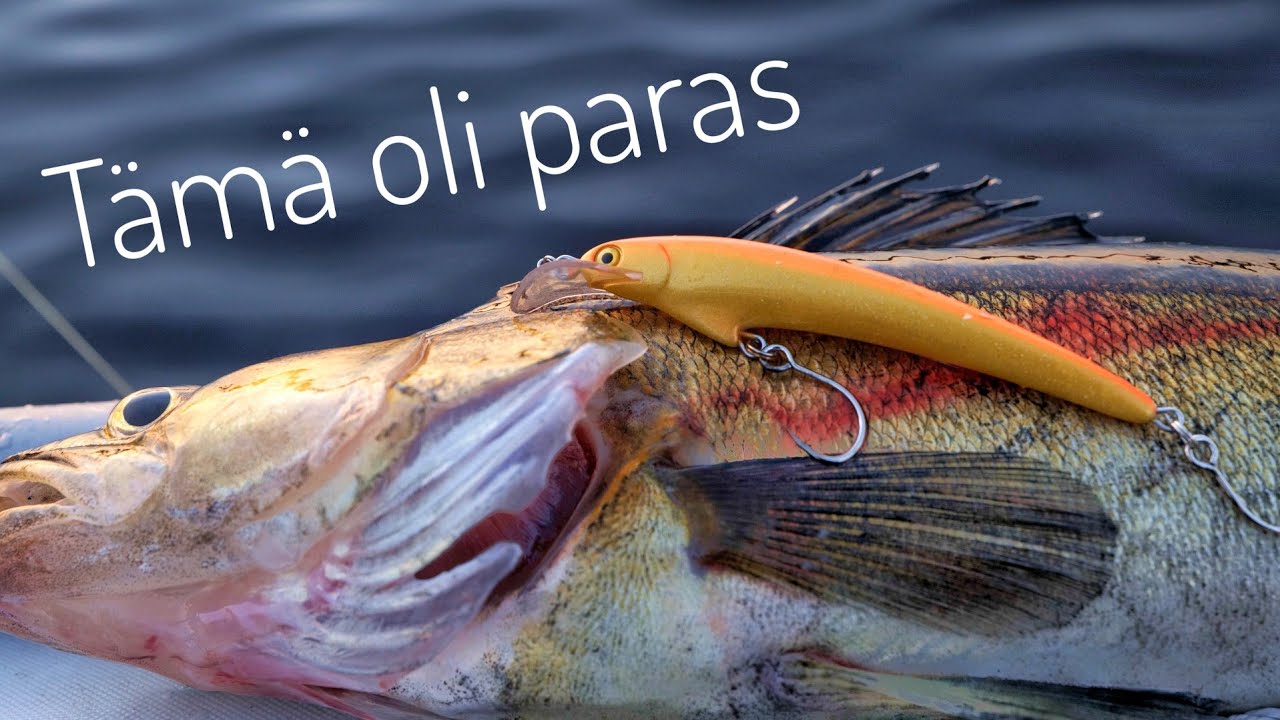 Kesä uistintestaajana. Kuusamon Uistimen parhaat testissä. [ENG SUBS]