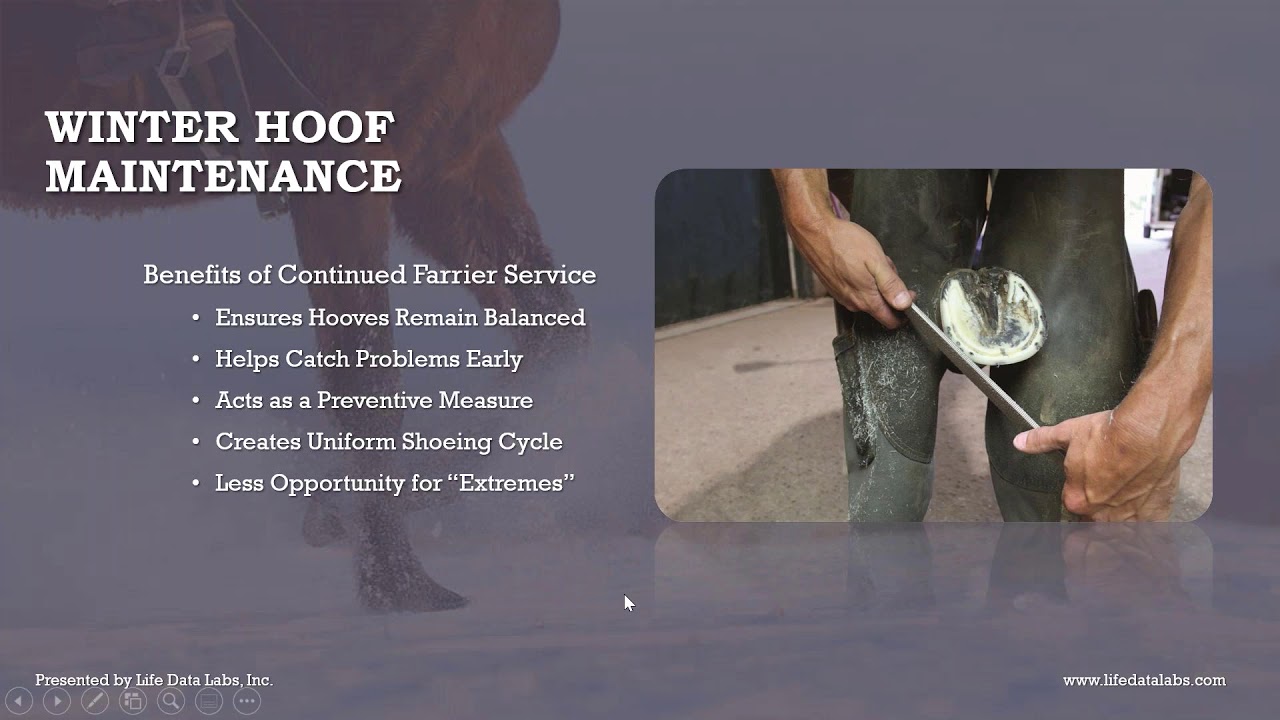 Equine Winter Care Webinar