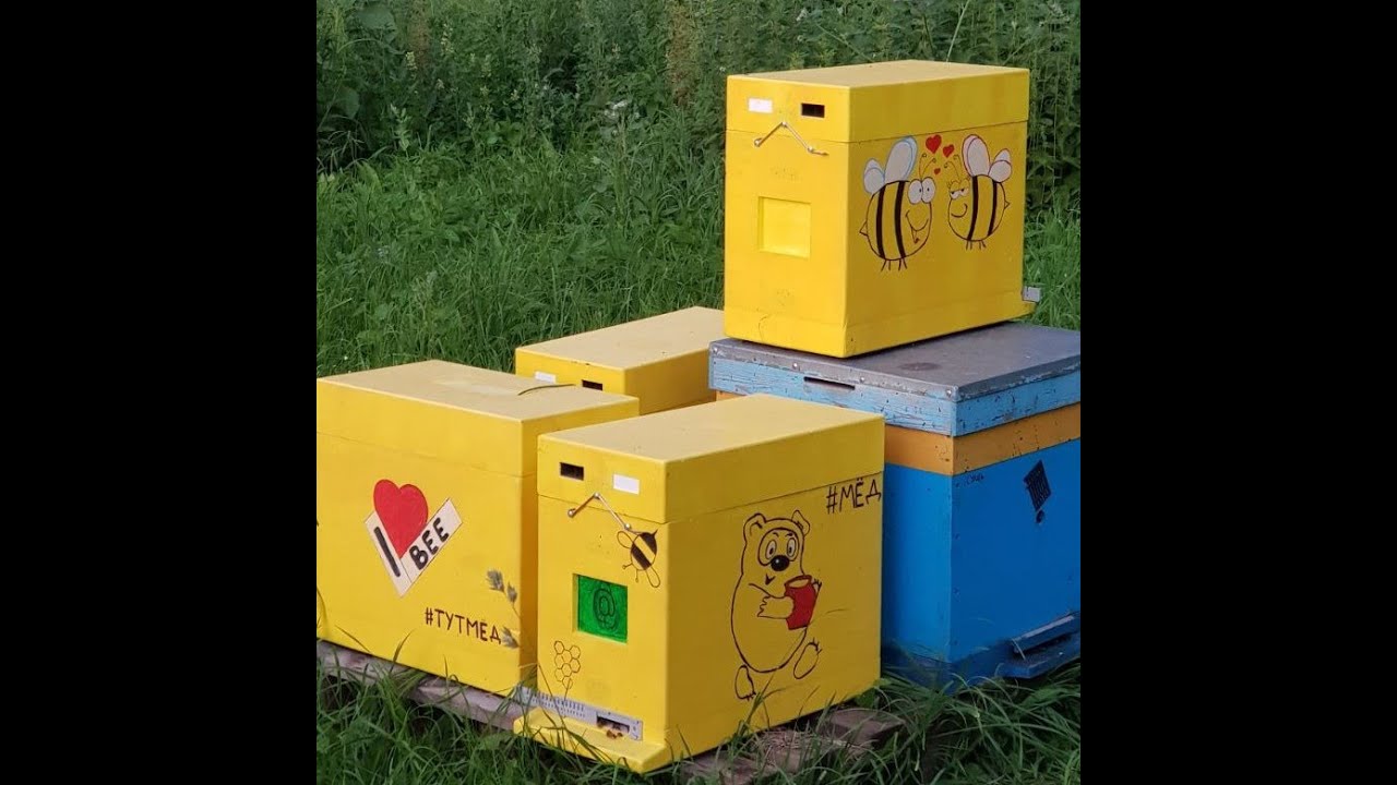 Лысонь 12 рамочный Дадан. Не ожидал столько косяков.