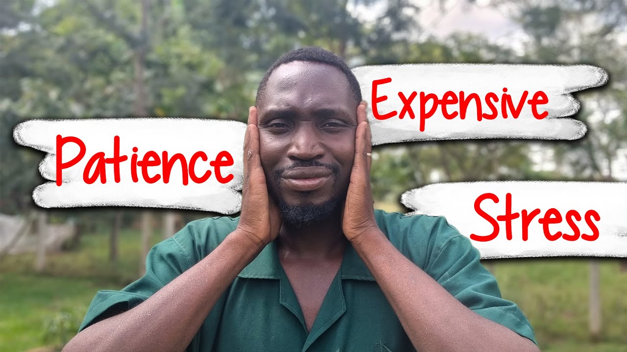 6 вещей, которые следует знать, прежде чем начинать фермерское хозяйство