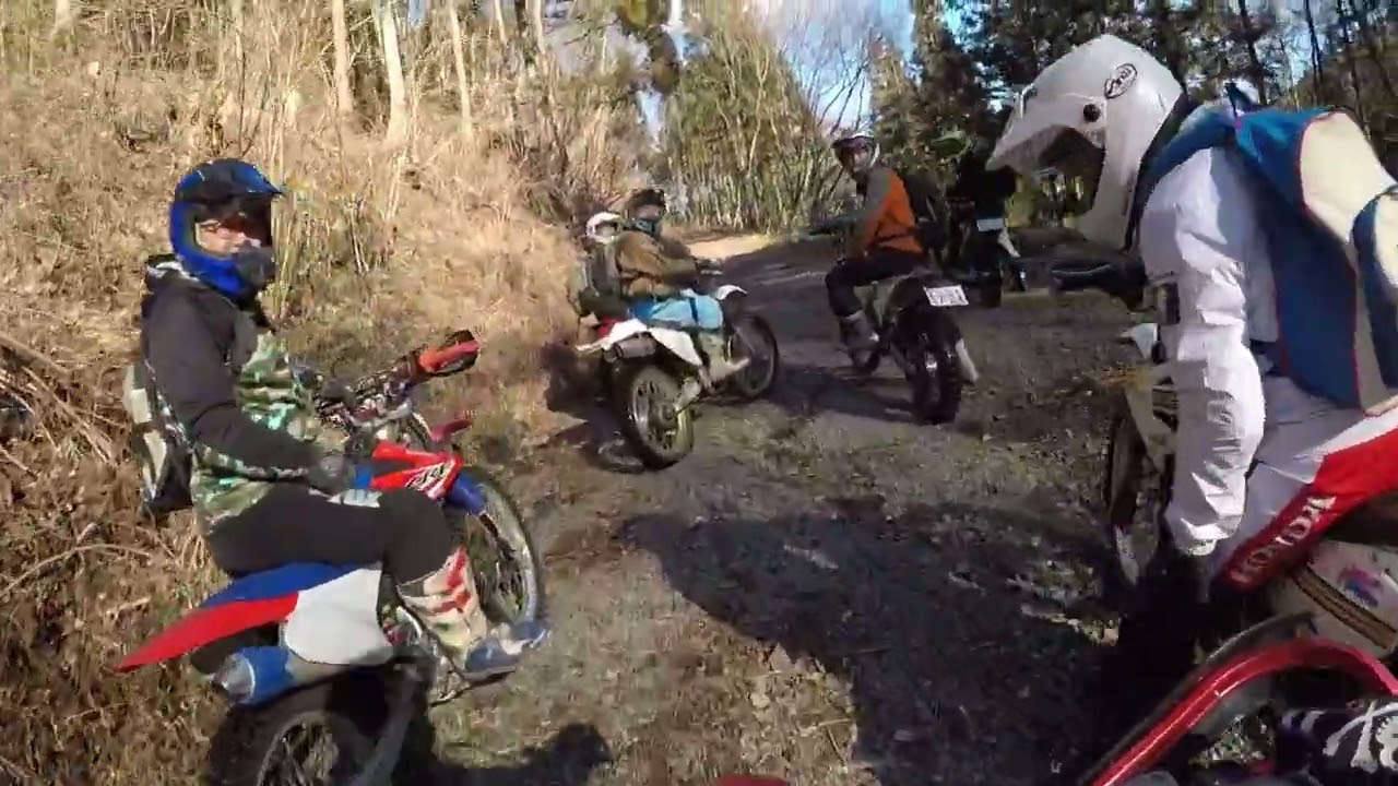 2026/1/11/まきカメ①