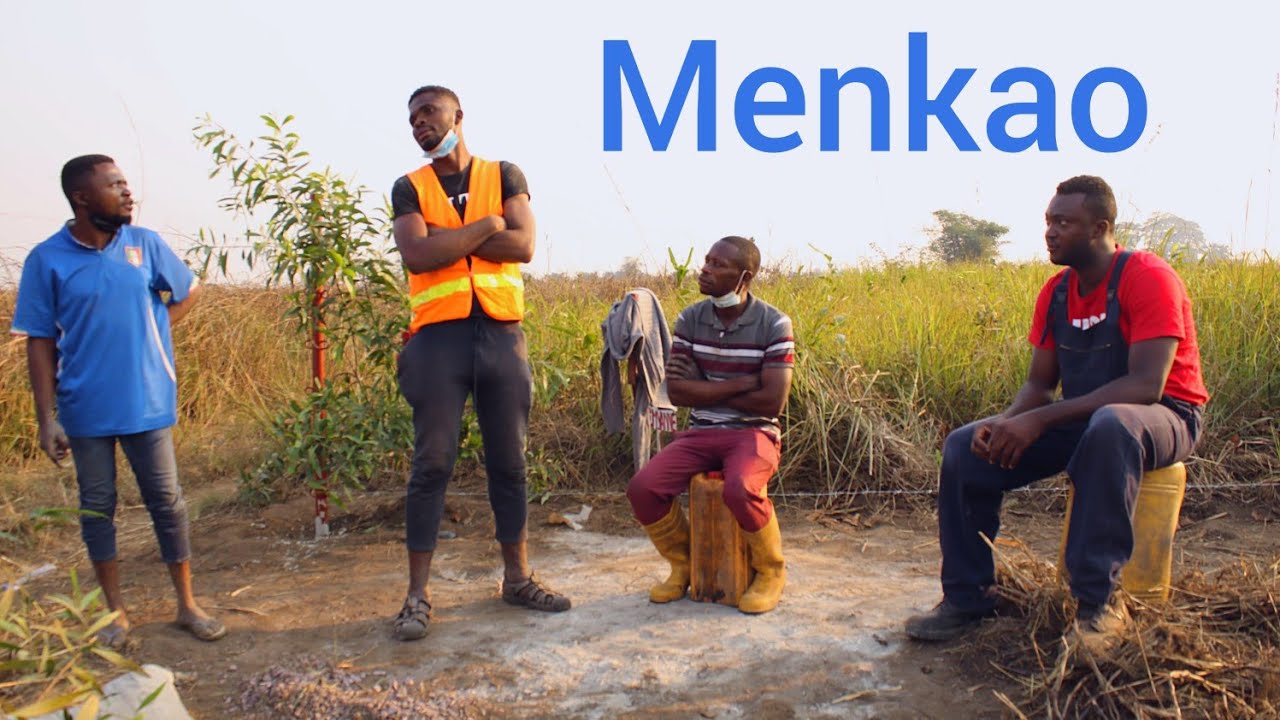 Agriculture In Congo Kinshasa|| From nothing to 100 pig barn capacity & More soon.