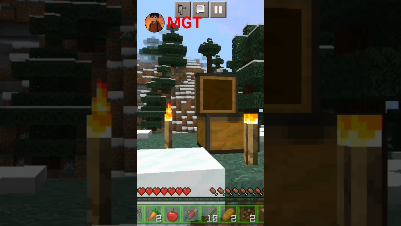 Minecraft |on MGT IN TAMIL 🤩😍 