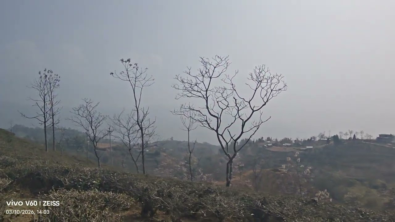 सन्सारी सिमसार पाख्रीबास धनकुटा 