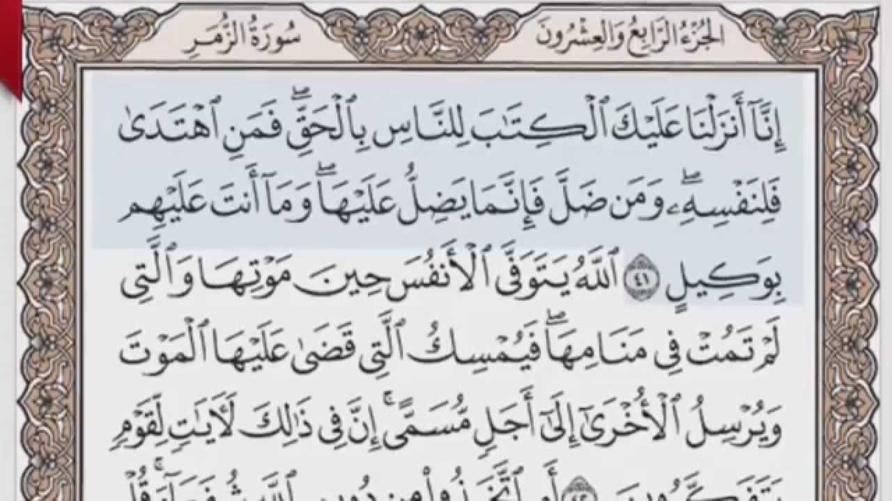 القرآن الكريم بالصفحات صوت وصورة ص/ 463 الشيخ محمود خليل الحصري بمد المنفصل