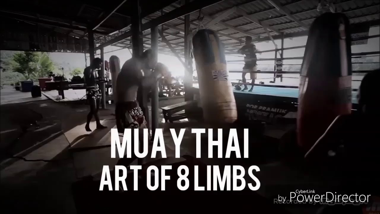 MUAY THAI MOTIVATION