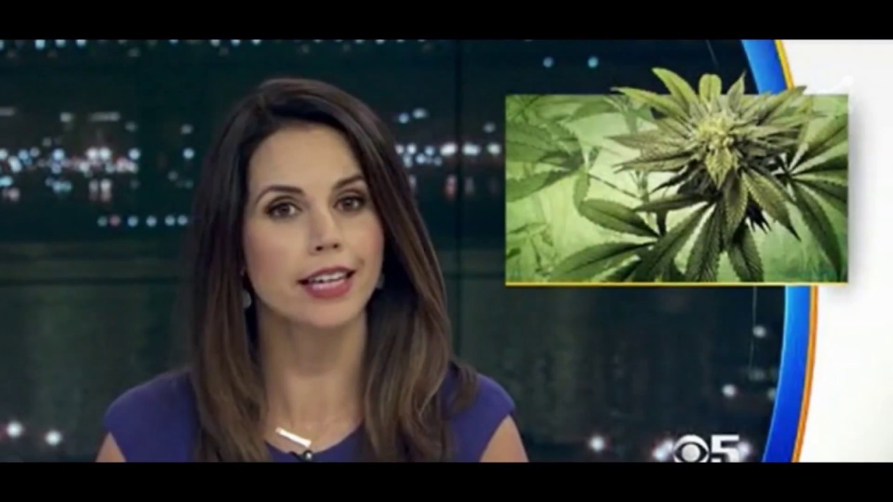 Marijuana - Environmental Devastation