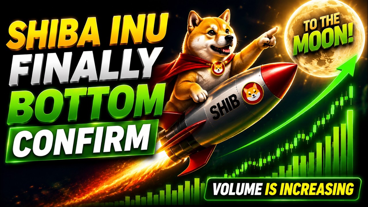 SHIB News Today | Whale Movement, Burn Rate & Price Prediction | Bull Run Starting? Holder Must Know