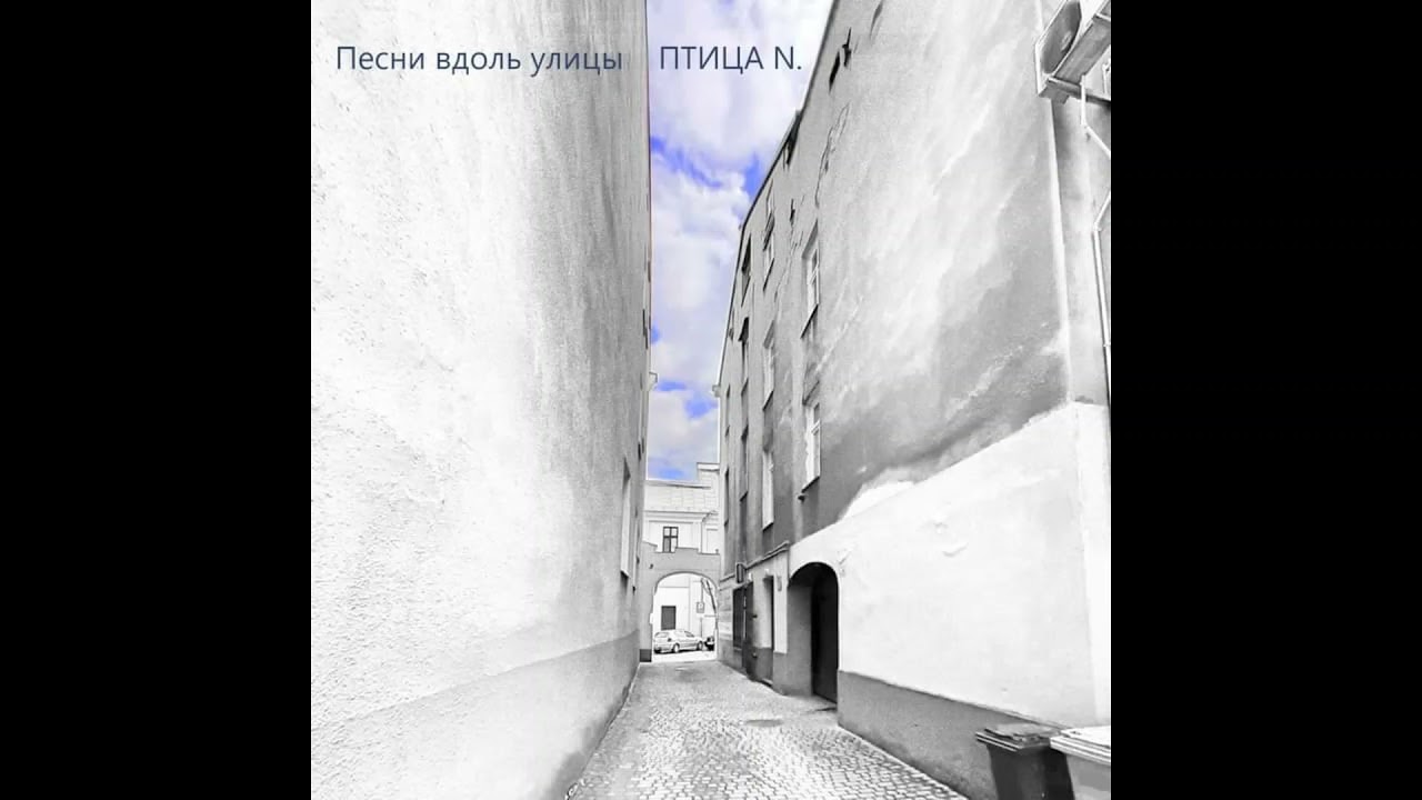 ПТИЦА N. - В живом натюрморте (A living still life)