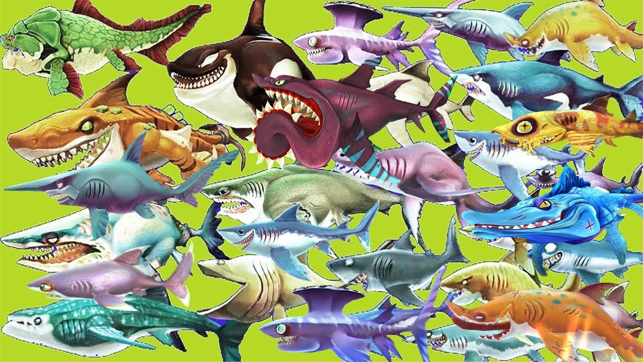 Hungry Shark World - ALL SHARKS UNLOCKED 2019 - NEW UPDATE COMING SOON | Gameplay Walkthrough [FHD]