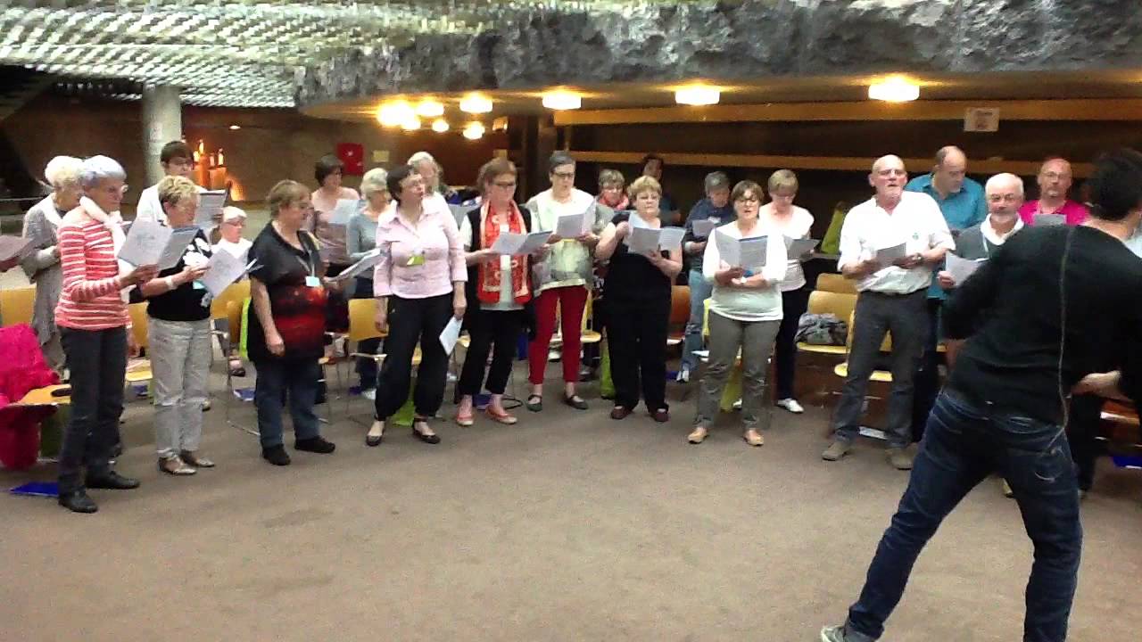 «Disneyland» de Zoé, harmonisé par Brice Baillon et dirigé par Martin Le Ray