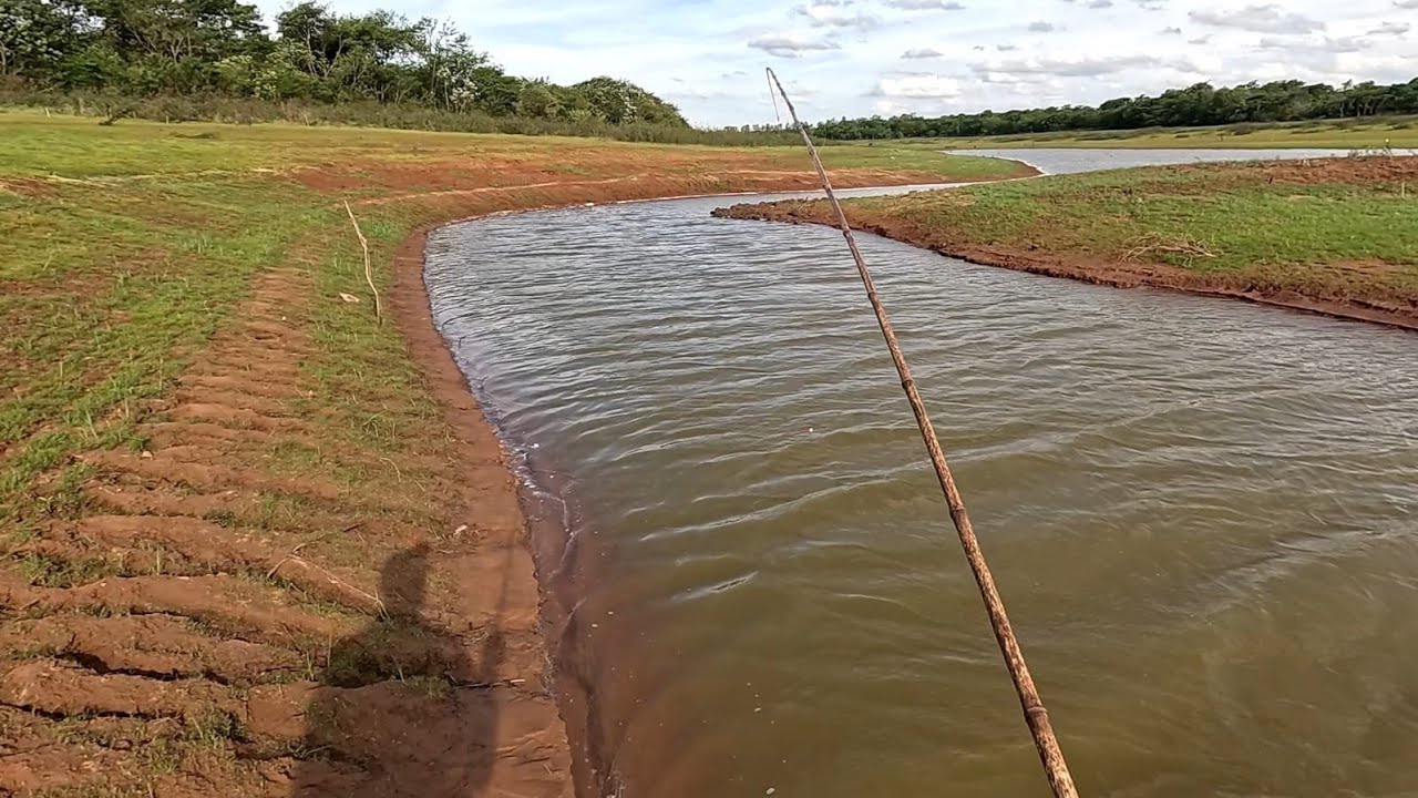 Pescaria de corvinas e tucunaré gigante no bambuzinho Rio marinheiro Cardoso sp 