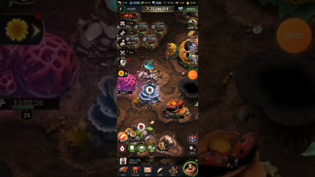 小小蟻國 海島蛋78抽