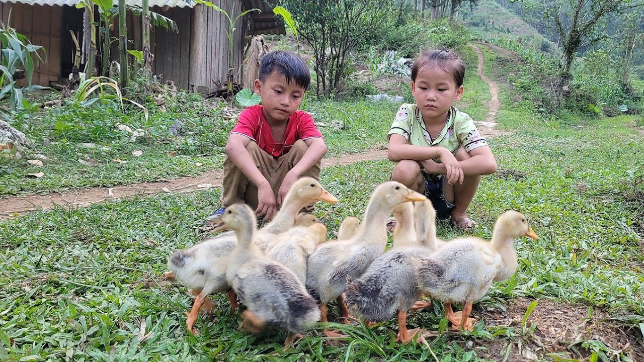 No one works, two brothers stay at home to help each other with the work