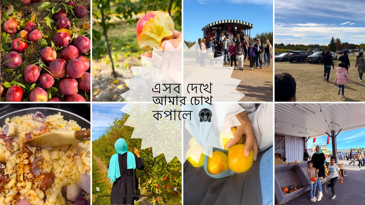 ১ দিনে স্বপ্নের মত অভিজ্ঞতা || কি দেখলাম ,এসব দেখে আমি ত অবাক হয়ে গেছি