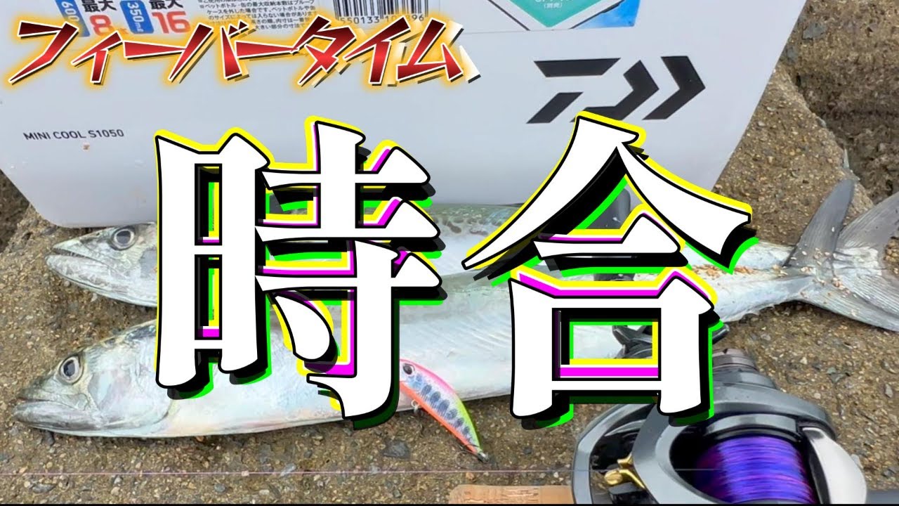 ＃福岡釣り　ナブラ