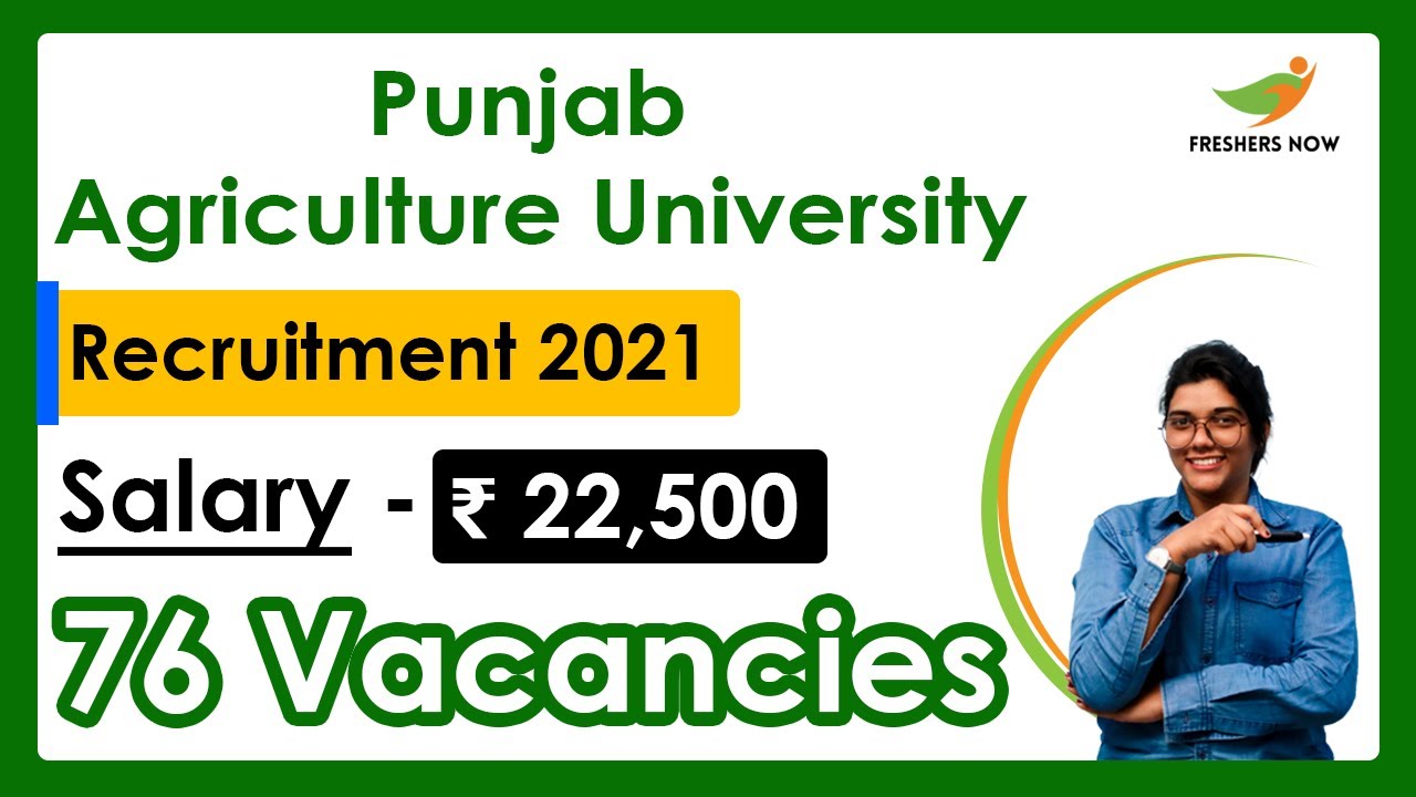 Punjab Agriculture University Recruitment 2021 | Salary ₹ 22,500 | 76 Posts | Latest Govt Jobs 2021